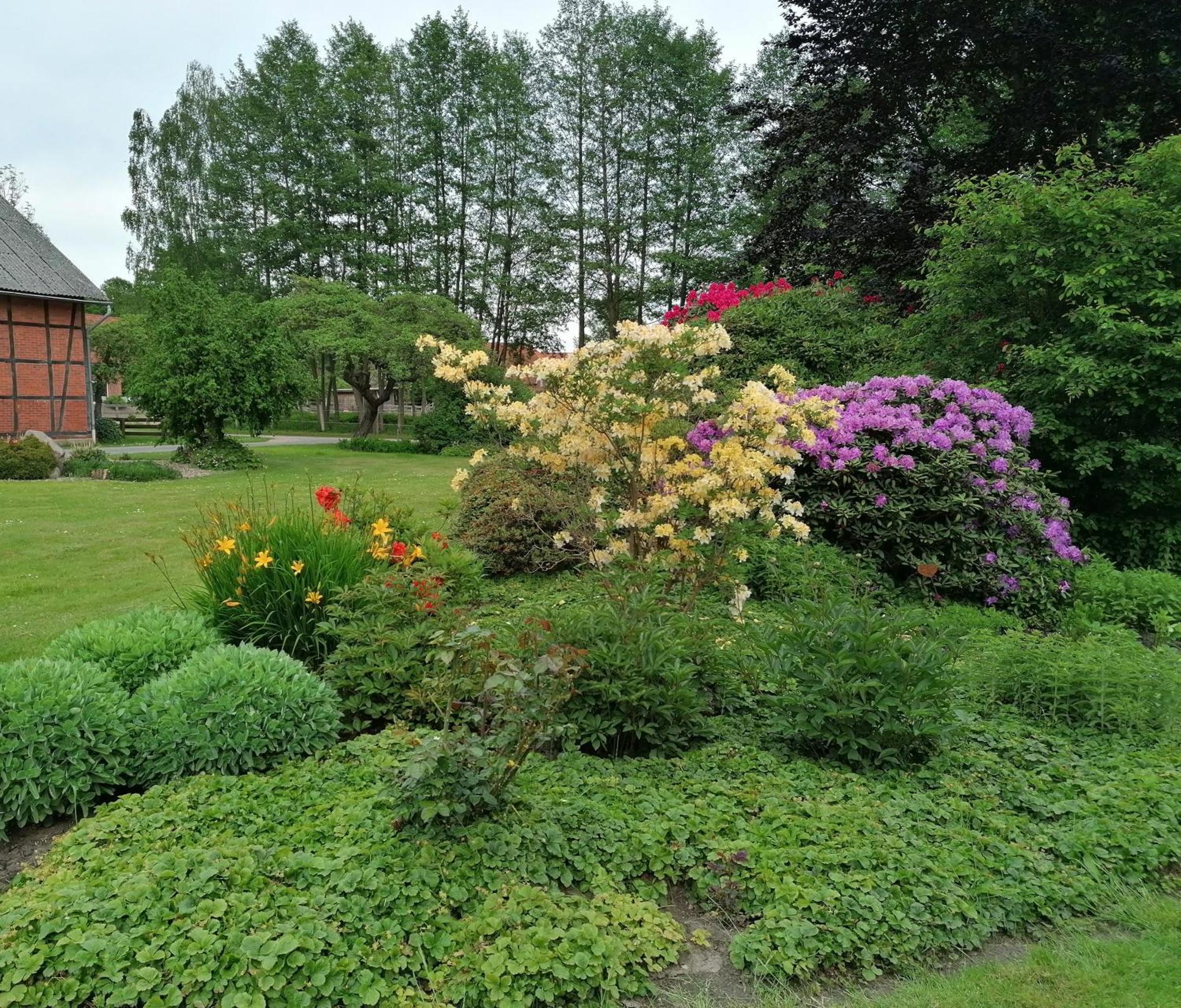 Ferienwohnung Am Teich Dannenberg Exteriér fotografie
